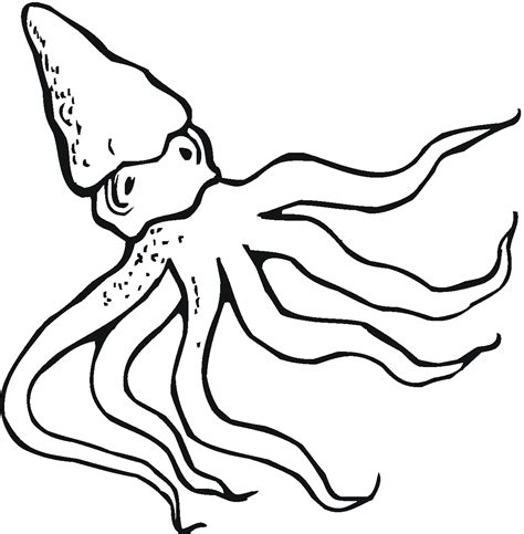 All coloring pages » animals » mollusk » octopus » common octopus. Free Printable Octopus Coloring Pages For Kids