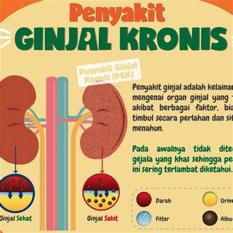 Maybe you would like to learn more about one of these? Penyebab Batu Ginjal Menurut Ustad Danu - Berbagai Sebab