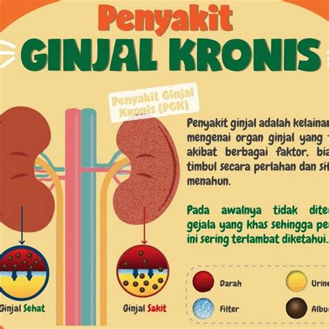 Cairan tersebut berperan penting untuk pencernaan protein. Penyebab Batu Ginjal Menurut Ustad Danu - Berbagai Sebab