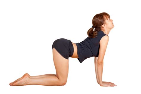 The cat pose is effective in relieving lower back pain. Prenatal Yoga - Cat/Cow Stretches | babyMed.com
