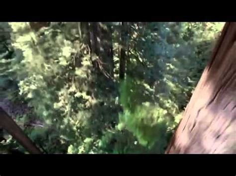 Maybe you would like to learn more about one of these? What makes you itch - YouTube