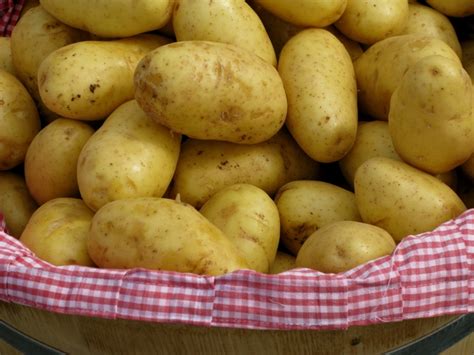 Le patate sono alimenti assai consumati e, se conservate correttamente, possono durare per periodo molto lunghi. Le patate e la saga dei Kennedy - dott. Ciro Vestita