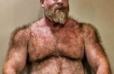older beards chested