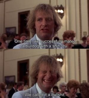 We don't have enough money to get to aspen! Dumb And Dumber Quotes Aspen. QuotesGram