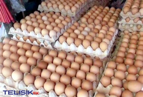 Harga telur ayam di pasar tradisional wilayah jabodetabek dan bandung mengalami kenaikan pada ramadan 2021. Harga Telur Ayam Naik 50 Persen - telisik.id