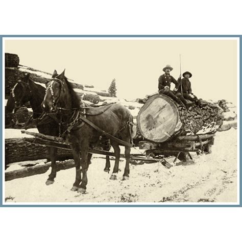 Logging - Historic Pacific Northwest Photos at OLD OREGON | Work horses, Oregon, Eastern oregon