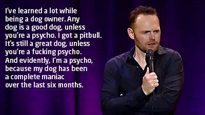 19 funniest celebrity quotes ever. Bill Burr's vibes (With images) | Bill burr, Funny quotes, Quotes to live by