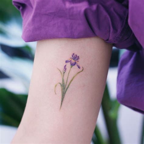 Elegant iris flower tattoo design. Pin by Lucía Ruiz-Capillas on beauty | Iris tattoo, Violet ...