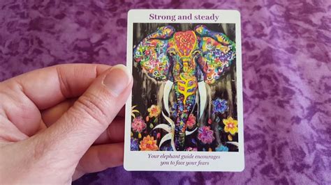 They're here for us in the hard times and cheering us on through the good. Review: Your Spirit Guides Oracle Cards de Lisa Cunningham (French)🐘🦋 - YouTube