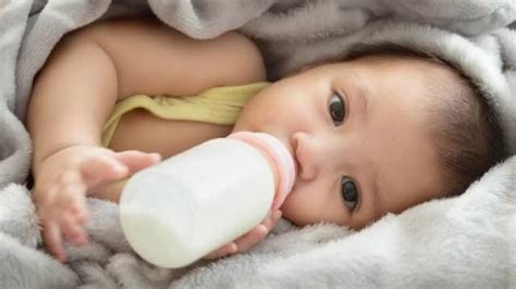 Banyak merk susu untuk bayi yang bagus di pasaran. Hal yang Harus Diketahui Sebelum Memberikan Susu Formula ...