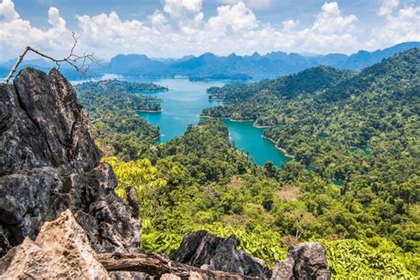 Khao yai national park is the third largest national park in the country and stretches across nakhon ratchasima province and into prachinburi, saraburi and nakhon nayok provinces, covering an impressive 2,168 square kilometres. Khao Sok Nationalpark, Thailand | Franks Travelbox