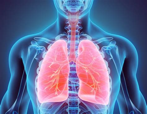 Lung cancer related back pain may be generalized like a muscle ache or sharp like a pinched nerve. Lung Cancer Symptoms and Signs | Onco.com