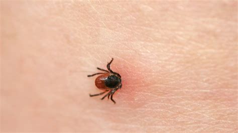 Das sorgt für umweltfreundliche produkte mit echtem mehrwert für mensch und natur. Stiftung Warentest im Mai 2017: Testsieger! DIESE ...