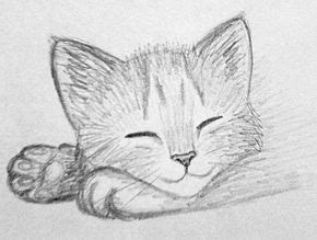 See more of schattige dieren on facebook. Schattige Dieren Tekenen Moeilijk | kleurplaten van dieren