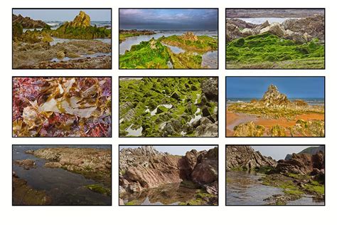 Dateien direkt erstellen, die dann auch unter picture viewer angezeigt werden, die haben aber zum einen meist nur. Mehrere Fotos über das Druckmodul in eine Jpeg-Datei montieren