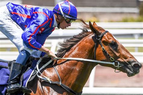 Youtube stats & analytics for royal sabah turf club. YOUNG STARS ON SHOW FOR $2m INGLIS MILLENNIUM AT ROYAL ...