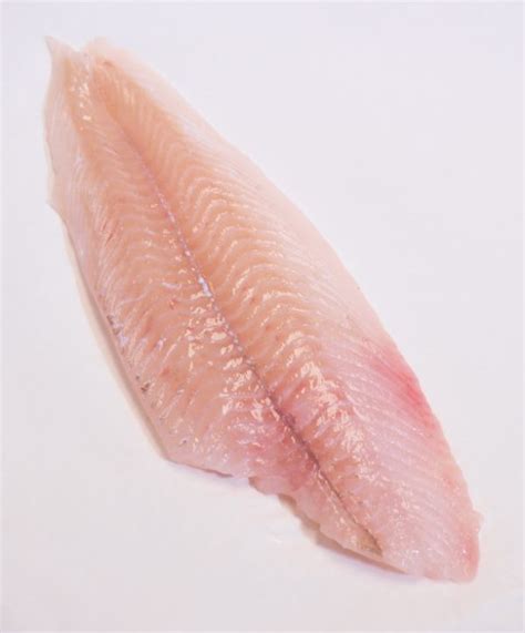 Clean fillet in cool fresh water and. Fresh Flounder Fillet - Harbor Fish Market