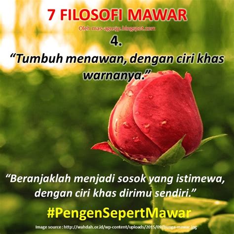 Check spelling or type a new query. Kata-Kata Bijak Filosofi Mawar | AJP Creations