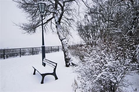 O inverno é um das quatro estações do ano, que se inicia no final do outono e termina com o início da primavera. Galerias: Inverno | Visitar Praga