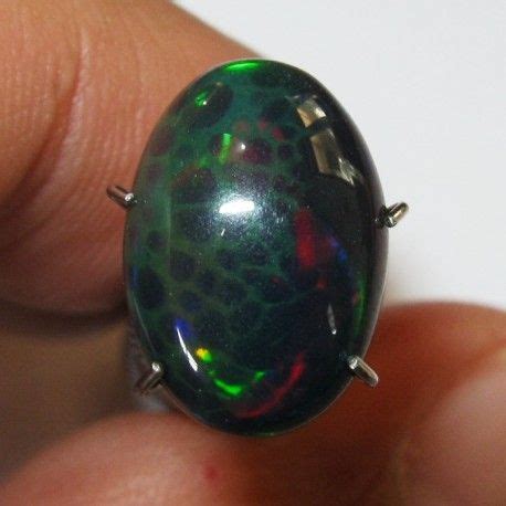 Petir, disebut juga sebagai halilintar merupakan gejala alam yang terkadang muncul pada musim hujan di saat di langit muncul percikkan cahaya sesaat yang menyilaukan yang dikenal dengan nama. Batu Black Opal Sisik Naga Jarong Petir 2.27 Carat Unik ...