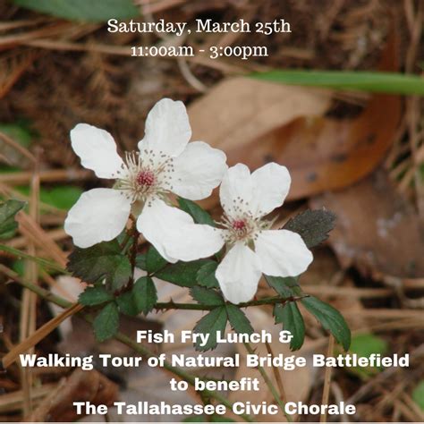Maybe you would like to learn more about one of these? Fish Fry Fundraiser & Walking Tour of Natural Bridge ...