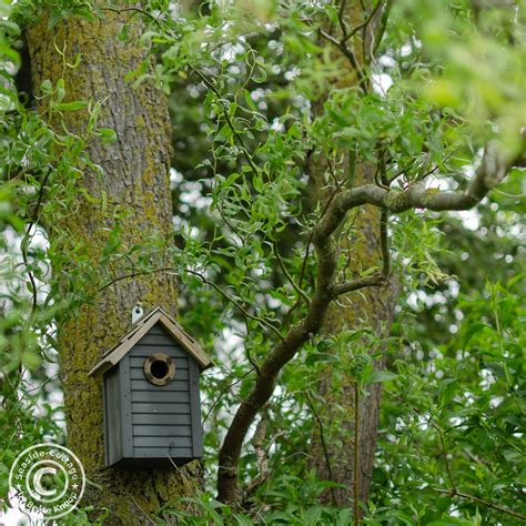 Maybe you would like to learn more about one of these? Offener Garten Schleswig-Holstein 2019: zu Gast bei Heike ...