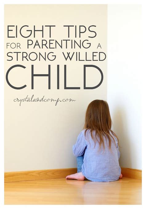 8 Tips For Parenting a Strong Willed Child | Parenting ...