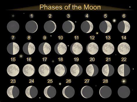 În timp ce planeta uranus este posibil să aducă cu sine ghinion, observăm totuși că acesta va alterna cu norocul, care vine să. Fazele Lunii 2021 - Care Sunt Datele Schimbării Fazelor ...