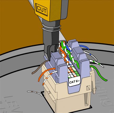 Wall outlet with three sets of wires home improvement. Network Wall Socket Wiring Diagram