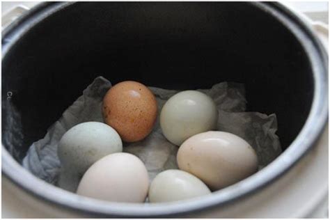 Ini adalah beberapa metode paling popluler. Cara Masak Telur Begini, Baru bisa membuat nilai gizinya ...