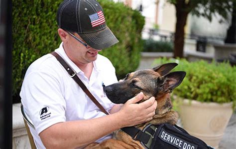 War Veterans and Dogs: How They Help Each Other | Healthy ...