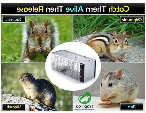 People like using animal traps for animal control because they are a humane and safe solution to getting rid of animal pests. Live Humane Cage Trap for squirrel rat chipmunk