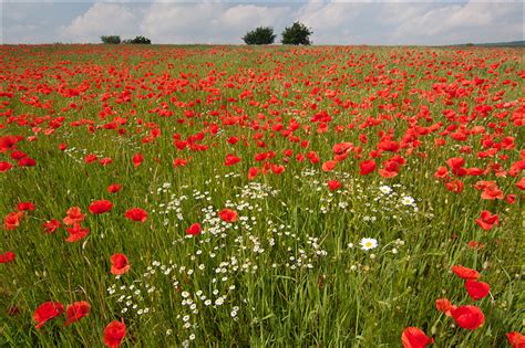 Auf der iaa nutzfahrzeuge 2018 präsentierte sommer zahlreiche neuheiten und. Sommer... (Forum für Naturfotografen)