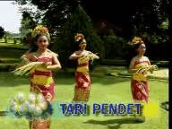 Tari pendet awalnya merupakan suatu tarian tradisional yangmenjadi bagian dari upacara piodalandi. pleasure amazing place: Pleasure Bali Dance