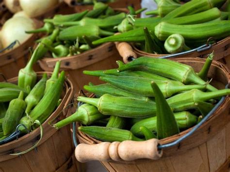 We did not find results for: The Secret History of Okra - Learn the history of okra ...