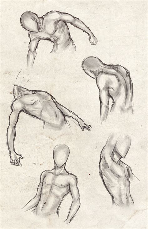 143kb, torso muscle anatomy drawing picture with tags: male torso practice by sweet-shop on DeviantArt