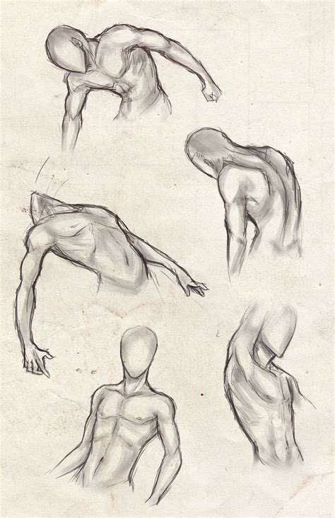 Character design references anatomy reference drawing tutorial art drawings man anatomy drawings anatomy drawing human anatomy art reference. male torso practice by sweet-shop on DeviantArt