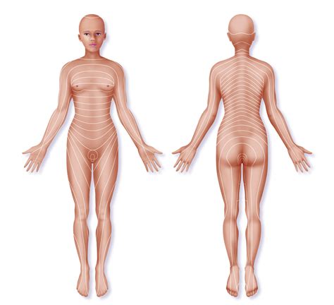 Female body with energy paths and. Dermatome Definition with Back Pain Example