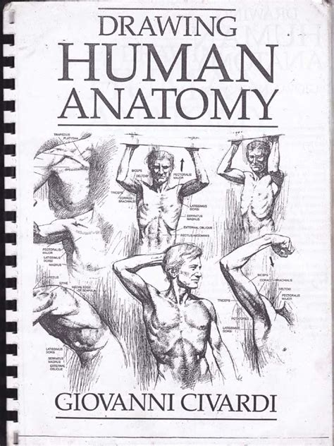 I seriously don't understand what to do. drawing human anatomy by Giovanni Civardi | Earth & Life Sciences | Biology
