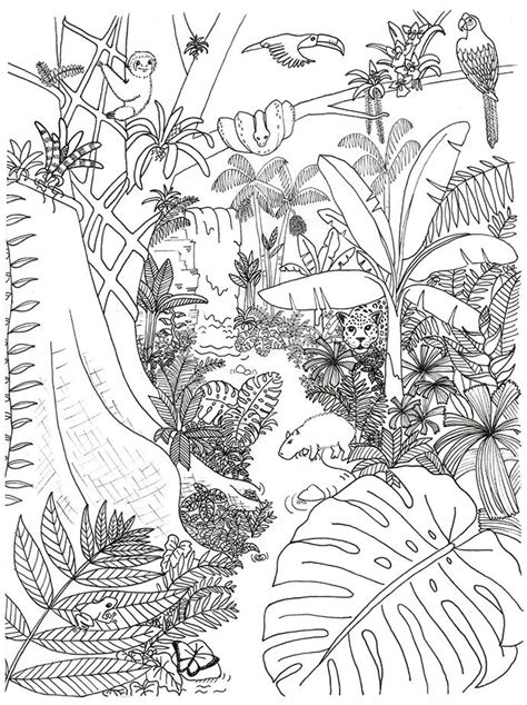 A great tropical rainforest animal resource for learning at home. Rainforest Animals and Plants Coloring Page | Animal ...