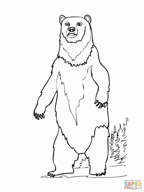 Great for educators and kids to color and learn. Brown Bear Coloring Page Elegant Brown Bear Printables ...