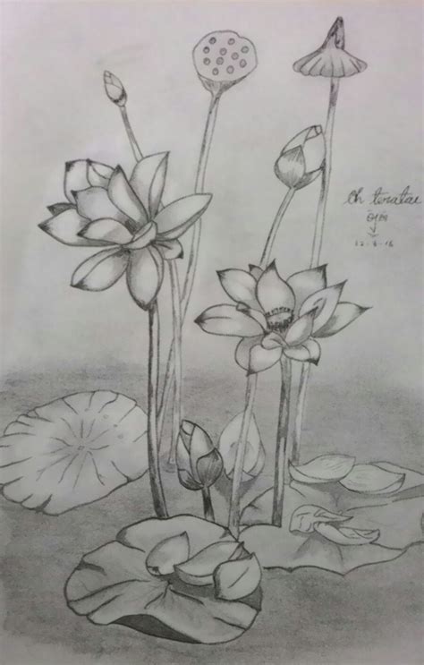 Maybe you would like to learn more about one of these? sketsa bunga: Lukisan Bunga Teratai Di Tasik