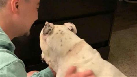 Click here now and see all of the hottest amatoriale italiano porno movies for free! Signora Si Fa Scopare Dal Cane / Lo Fa Con Il Suo Cane E Mette Online I Filmati Dell Abuso Per ...