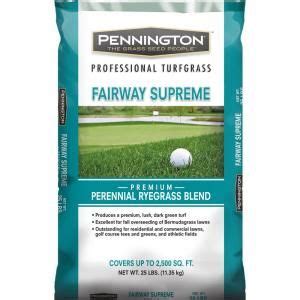 Pennington annual ryegrass grass seed is ideal for the quick establishment of a temporary lawn. Pennington 50 lb. Annual Ryegrass Grass Seed-100082644 - The Home Depot | Perennial ryegrass ...