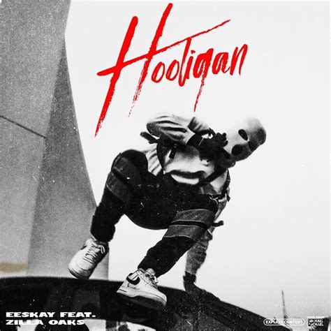 A violent person who fights…. EESKAY - Hooligan Lyrics | Genius Lyrics