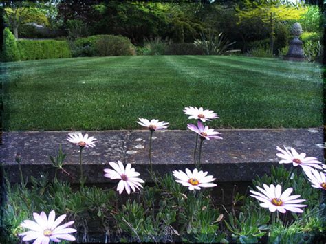 Exploração de restaurantes, bares, snack bares, estabelecimentos de bebidas e similares de hotelaria; Sunday morning pleasures free stock photos download (1,798 ...