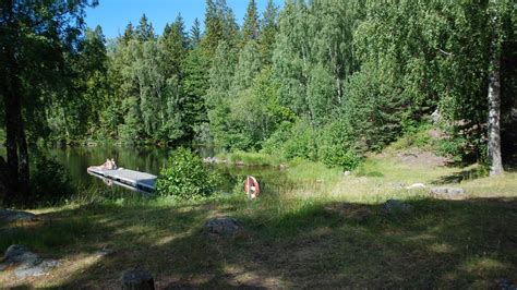 Starkt solsken och lugnt väder där inte vattenytan rörs om, och god tillgång av näringsämnen som kväve och fosfor ger goda betingelser. Fjällnora naturistbad - Uppsala kommun