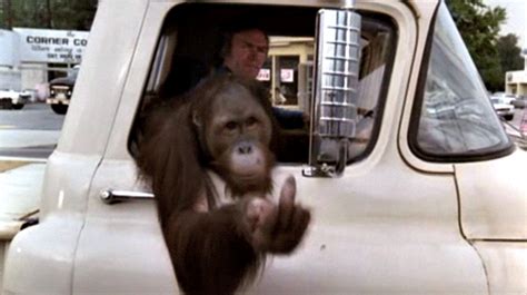 142.74k 86% charisma cappelli strips and masturbates 7:57. Clint Eastwood Middle Finger GIF by Maudit - Find & Share ...