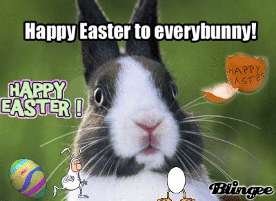Home all gifs holidays easter. Easter Bunny is very Funny Picture #109375337 | Blingee.com