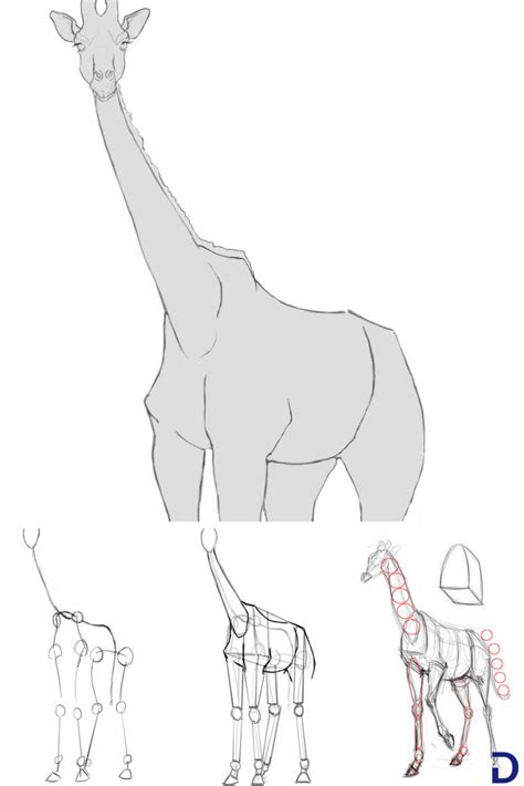 La girafe est un drole danimal. Comment dessiner une girafe | Pinterest peinture, Comment ...